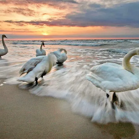 Apartament Solna 305 Centrum