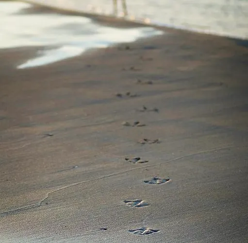 Lejlighed Solna 305 Centrum